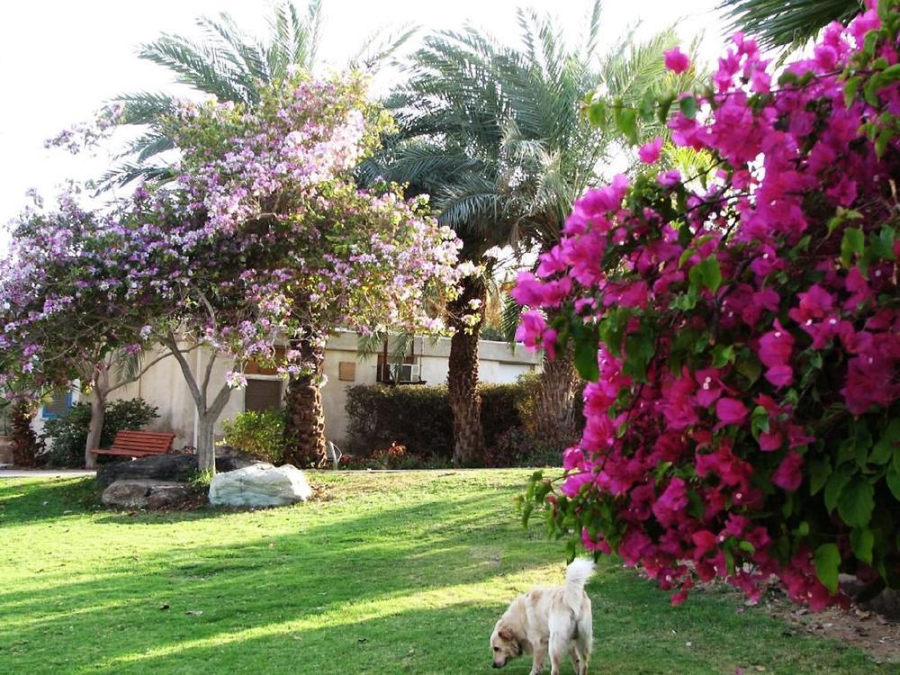 Eilot Kibbutz Country Eilat